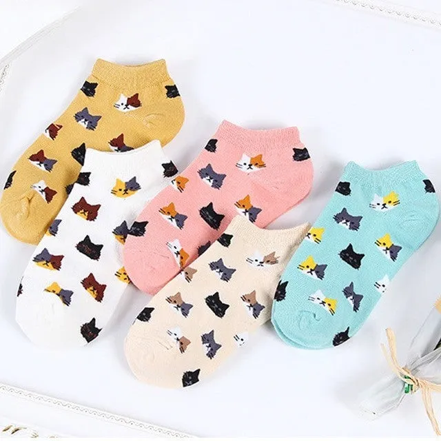 Anysox 5 Pairs One Size 5-9 Candy Color Kitten Summer Invisible Female Fashion Casual Cute Cartoon Short Cotton Ladies Dropship