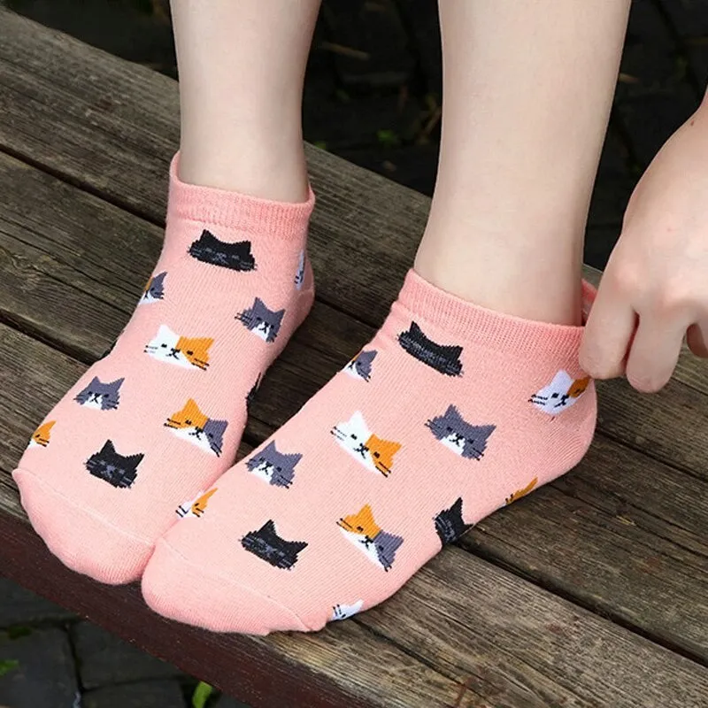 Anysox 5 Pairs One Size 5-9 Candy Color Kitten Summer Invisible Female Fashion Casual Cute Cartoon Short Cotton Ladies Dropship