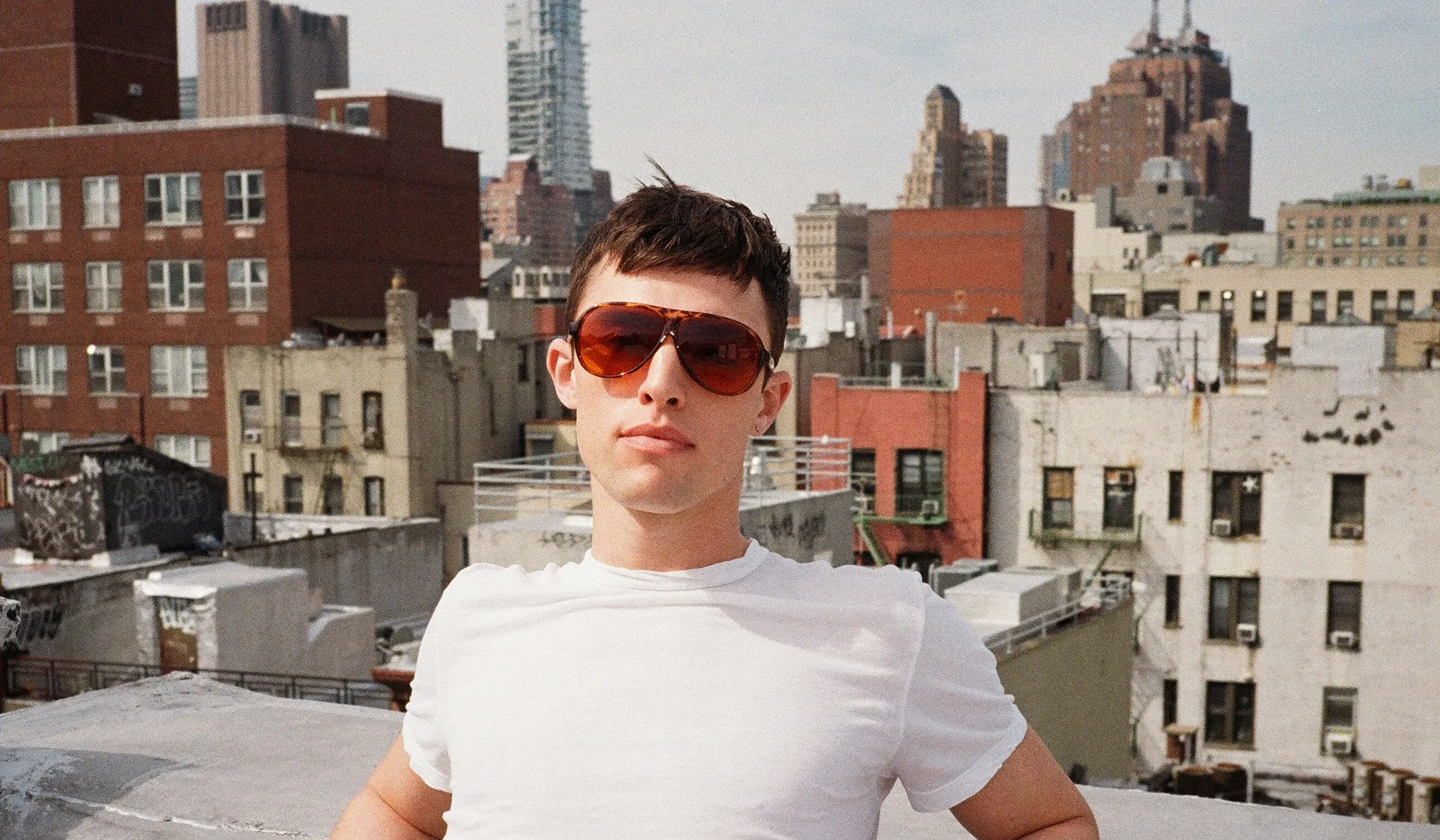 Aviator Polarized in Demi-Tortoise