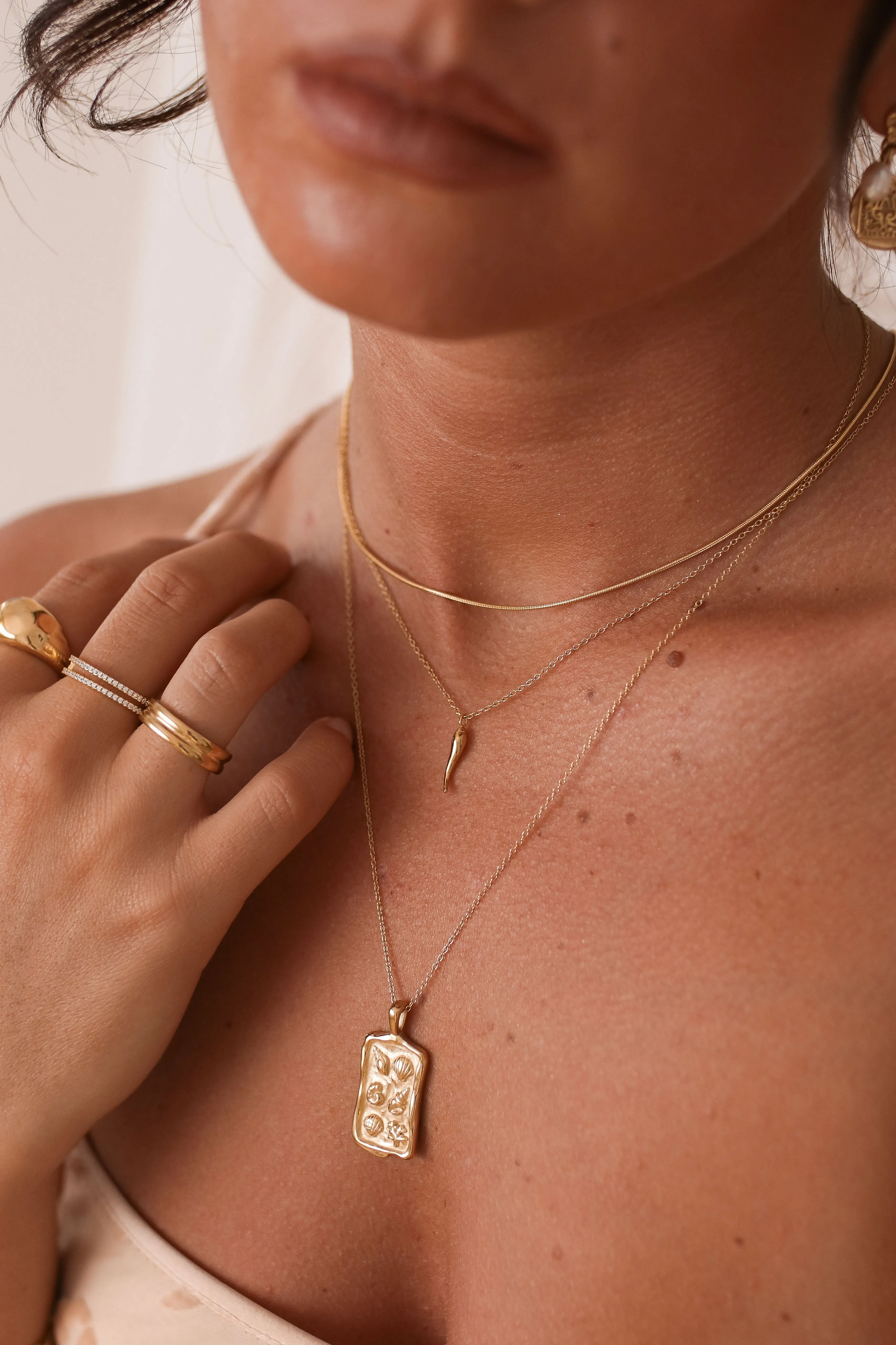 Cornicello - Stainless Steel Gold or Silver Necklace