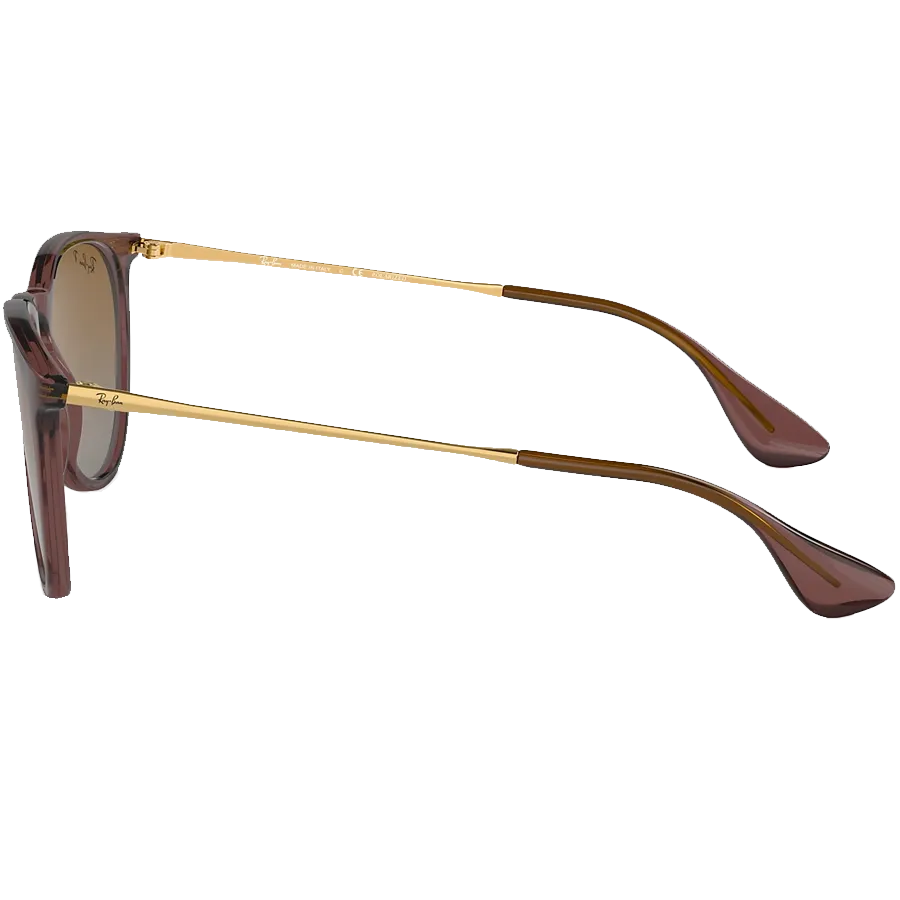 Erika Trans Dark Brown/Gradient Brown Polarized