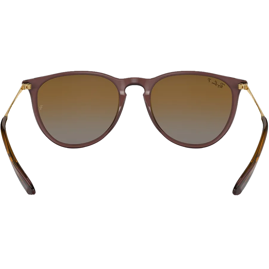 Erika Trans Dark Brown/Gradient Brown Polarized
