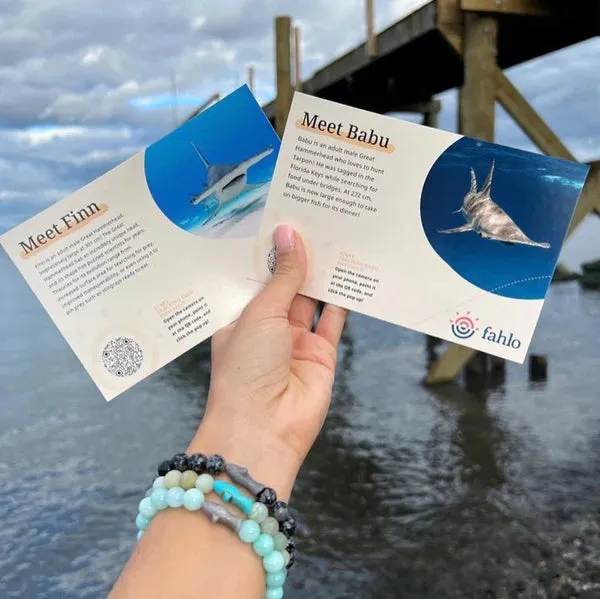 Shark Voyage Bracelet